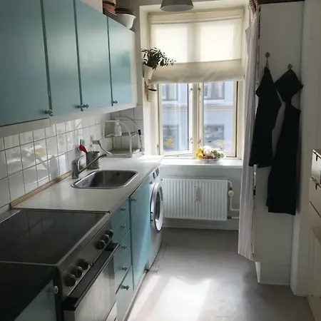 公寓 Charming Apart. 5 Min Walk From Central Station 哥本哈根